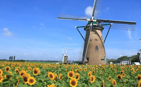 千葉地元で人気の穴場スポットまとめ