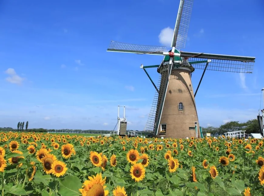 千葉地元で人気の穴場スポットまとめ