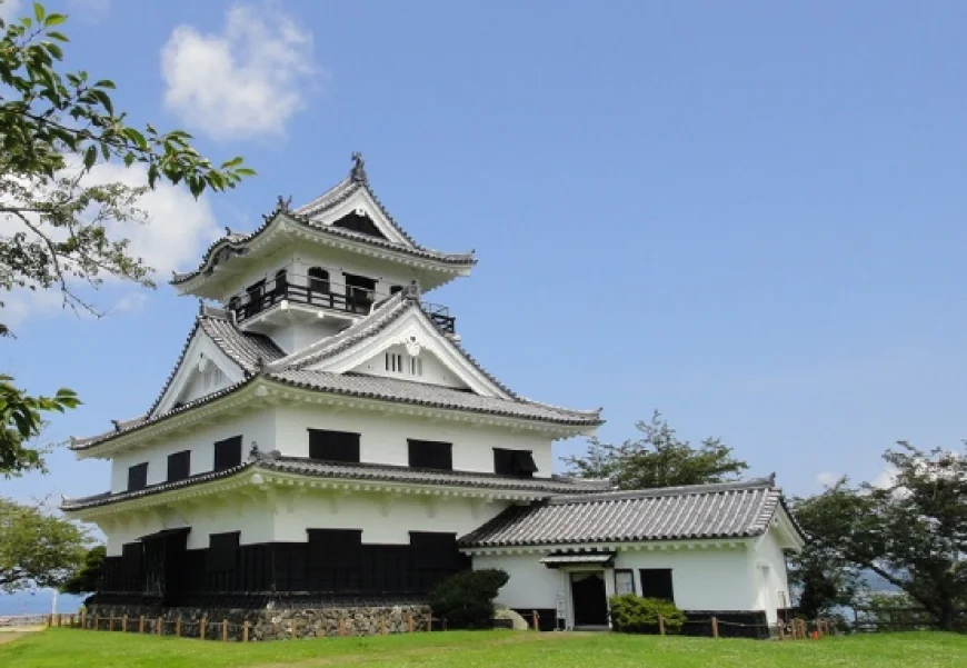 館山城と城山公園：歴史と自然が織りなす癒しの名所